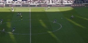 juv 11.gif
